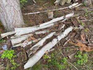 Asbestzement im Wald entsorgt